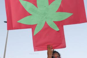MARIJUANA MARCH