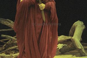 Fedra, Fernanda Montenegro
