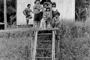 Children Beside An Amazon Tributary