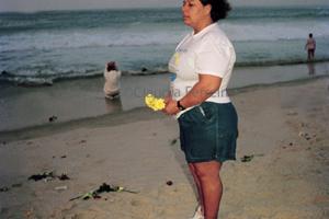 United Nations Conference on the Environment and Development, Rio 92