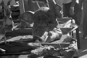 Saint Christopher Fair