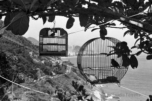Removal in the favela (shantytown) of Vidigal 