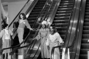 World Women's Congress for a Healthy Planet