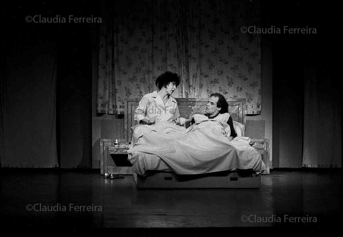 THE PEREGRINE FALCON