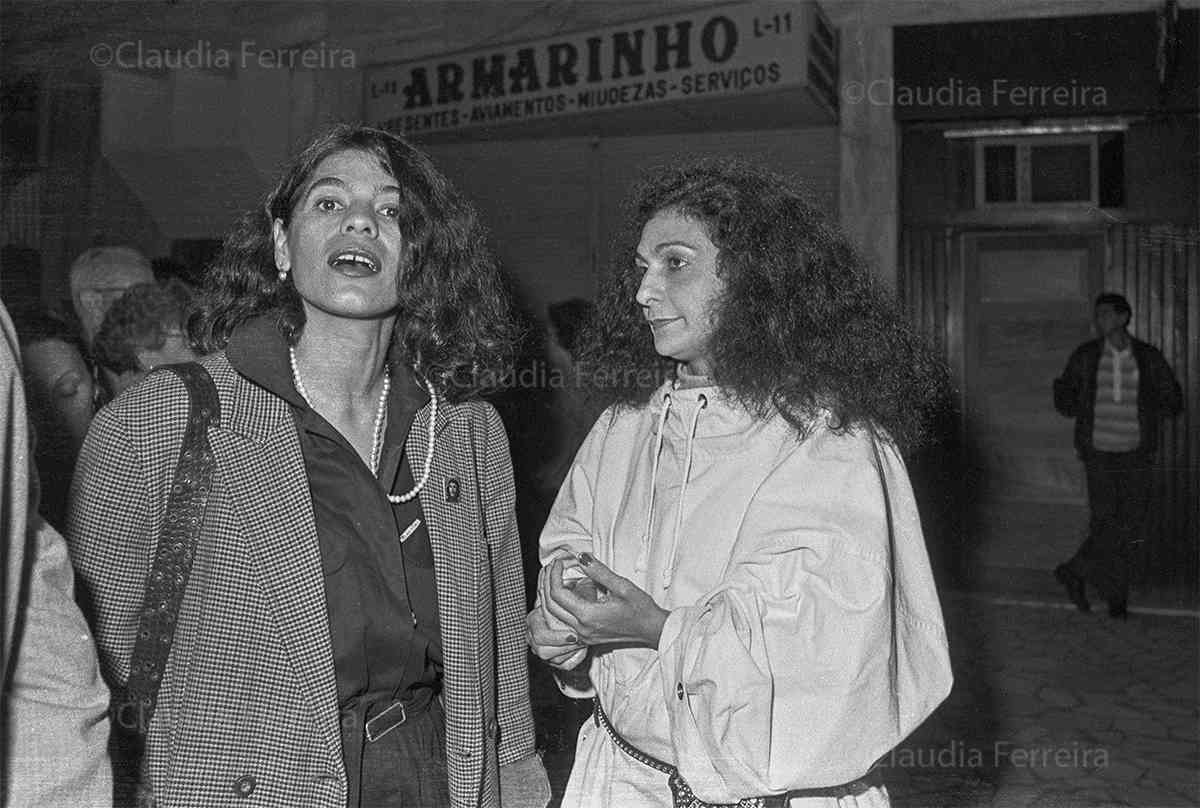 THE PEREGRINE FALCON