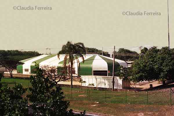 United Nations Conference on the Environment and Development, Rio 92, Global Forum. Female Planet.
